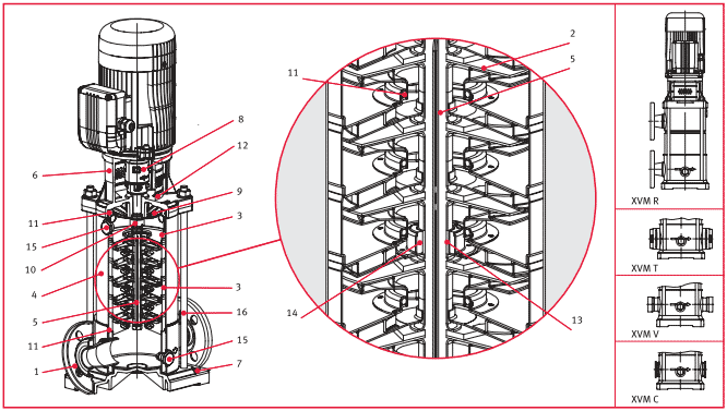     XVM4 06F11T, . 149447